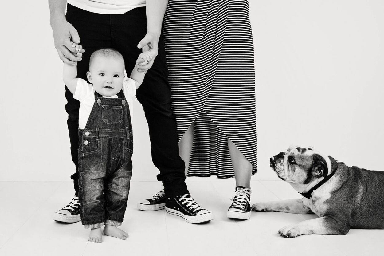 Baby And Dog Photographer Auckland