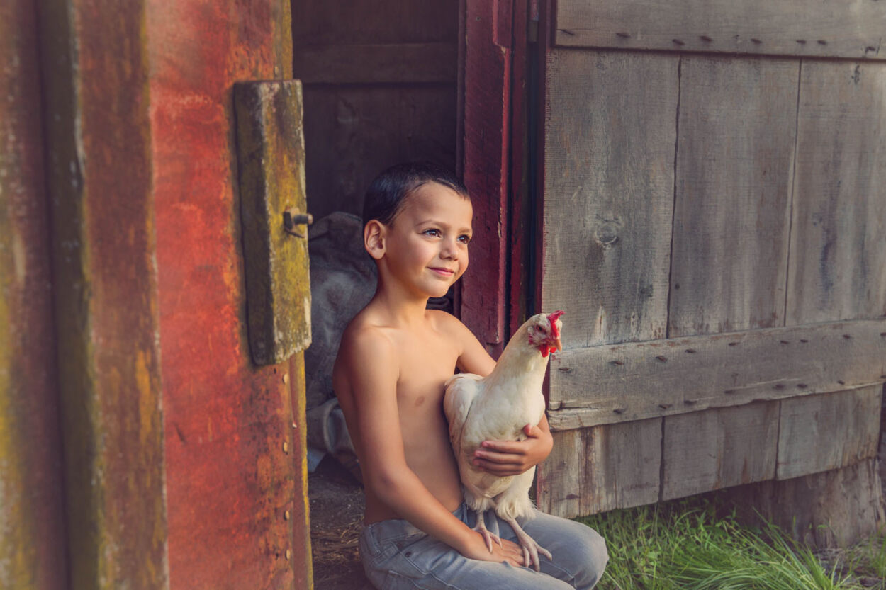 Best Auckland Kids Photographer