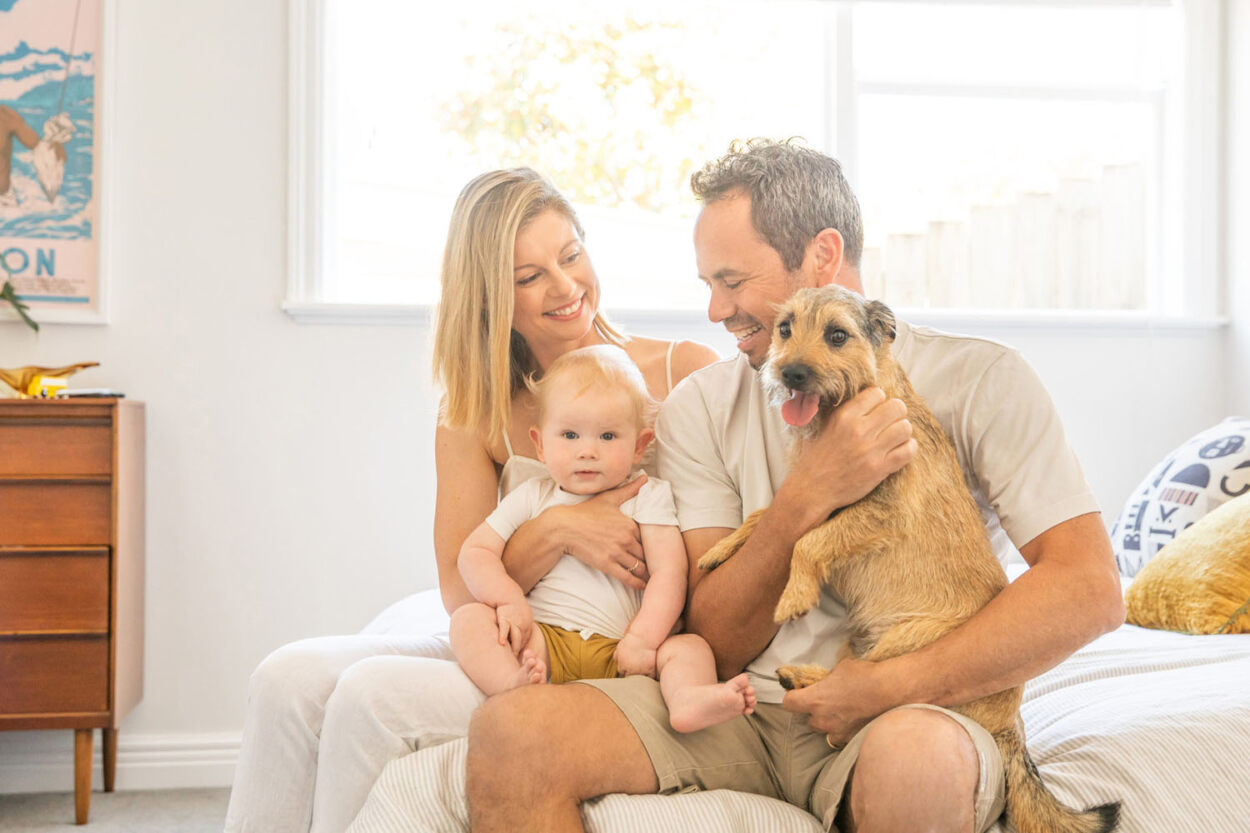 Pet And Dog Photographer Auckland